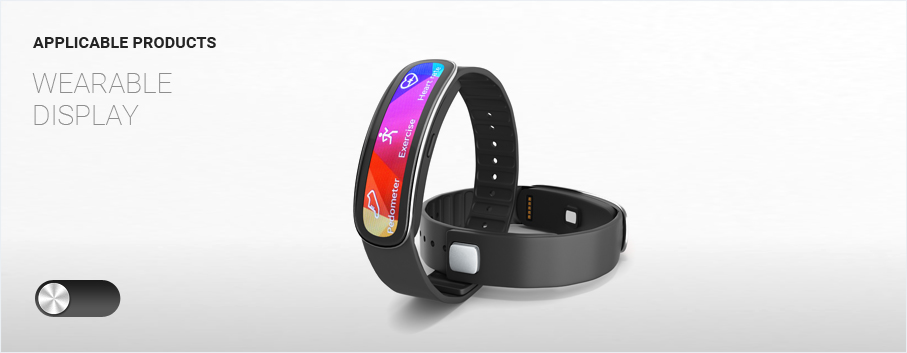 Applicable Products Wearable display