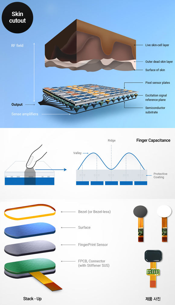 Skin cutout, Finger Capacitance, Stack - Up, Product Photos
