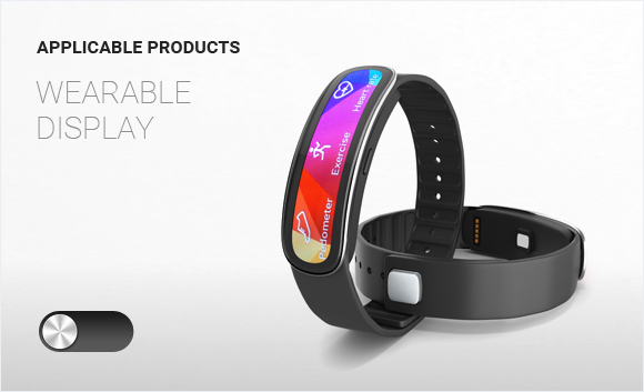 Applicable Products Wearable display