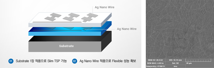 구조 및 특징